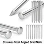 Vinklede Brad Nails i rustfrit stål